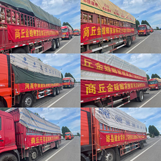 CG电子游戏(中国集团)官方网站